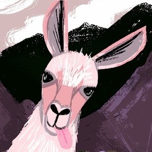 Meet your Posher, Jamie